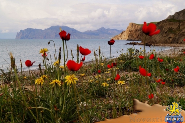 Отдых в Орджоникидзе. Прекрасный вид на Коктебельский залив Отдых в Крыму 2017 - жильё в Крыму без посредников - «Отдых в Орджоникидзе»