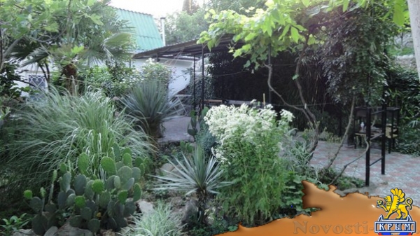 Отдых в Алуште. Крым, Алушта. Индивидуальный 3к. дом на берегу моря Отдых в Крыму 2017 - жильё в Крыму без посредников - «Отдых в Алуште»