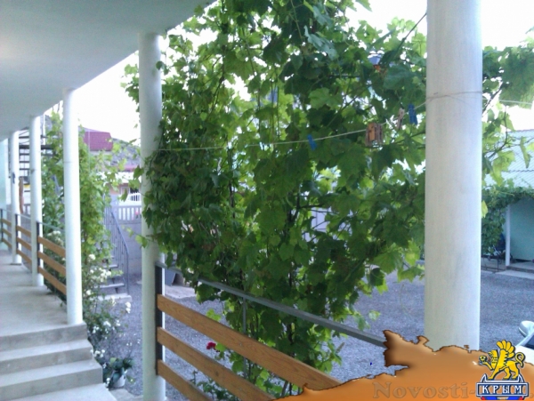 Отдых в Судаке. Бюджетный отдых в Судаке в Гостевом Доме Оазис Судак Отдых в Крыму 2017 - жильё в Крыму без посредников - «Отдых в Судаке»