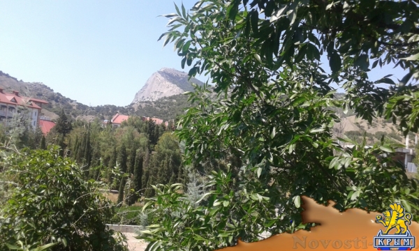 Отдых в Судаке. Простенькое жильё: 2 раздельные комнаты в Уютном: до 2 и до 3 чел Отдых в Крыму 2017 - жильё в Крыму без посредников - «Отдых в Судаке»