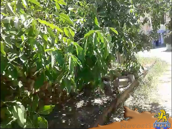 Отдых в Судаке. 2комнатная квартира на 4 чел.в любое время года рядом с Крепостью между Судаком и Новым Светом Отдых в Крыму 2017 - жильё в Крыму без посредников - «Отдых в Судаке»