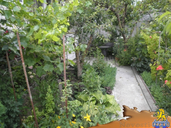 Отдых в Алуште. Эконом номерочки по ул. Таврическая Отдых в Крыму 2017 - жильё в Крыму без посредников - «Отдых в Алуште» Отдых в Алуште. Эконом номерочки по ул. Таврическая Отдых в Крыму 2017 - жильё в Крыму без посредников - «Отдых в Алуште»