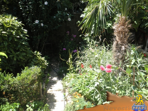 Отдых в Алуште. Однокомнатный номер в тихом месте на парочку Отдых в Крыму 2017 - жильё в Крыму без посредников - «Отдых в Алуште»