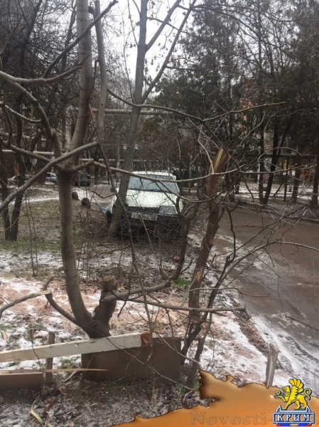 В Симферополе оставленная на ночь «Лада» врезалась в дерево - «Новости Крыма»