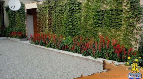 Отдых в Судаке. Номера в 7-10 минутах от моря. Отдых в Крыму 2017 - жильё в Крыму без посредников - «Отдых в Судаке»