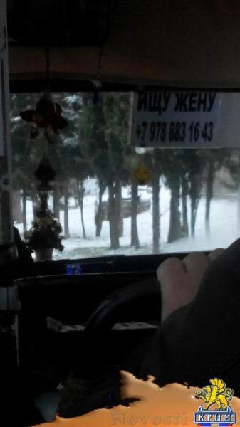 Водитель маршрутного такси в Крыму желает связать себя узами брака - «Новости Крыма»