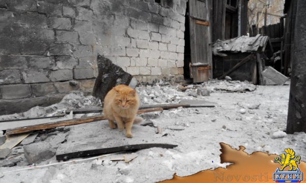 Украинские каратели подвергли ожесточенному артиллерийскому обстрелу мирный луганский город Брянка (ФОТОРЕПОРТАЖ) - «Происшедствия Крыма»