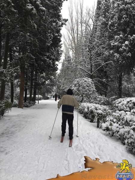 В районе Ялты выпала треть январской нормы осадков - «Общество»