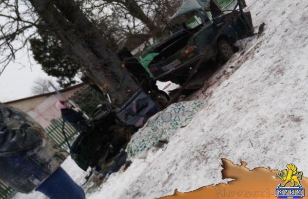В Крыму ВАЗ разорвало пополам от удара об дерево - «Происшествия»
