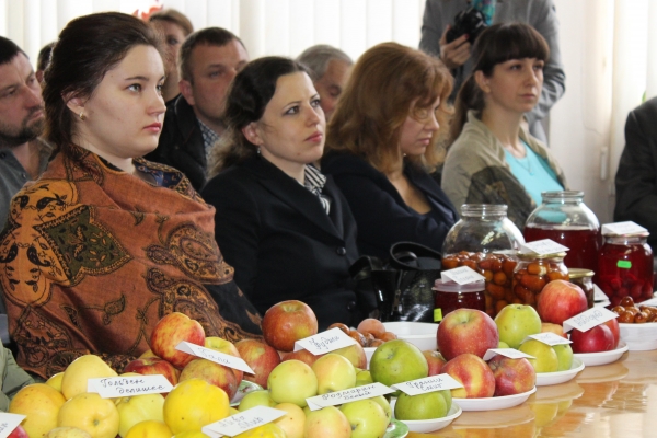 Валентина Кирлица: Процедура оформления земельных участков — одна из наиболее актуальных для крымских сельхозтоваропроизводителей - «Госкомрегистр»