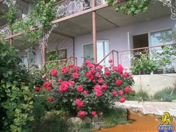 Отдых в Коктебеле. Комфортный отдых в гостевом доме Терем*ОК Отдых в Крыму 2017 - жильё в Крыму без посредников - «Отдых в Коктебеле» Отдых в Коктебеле. Комфортный отдых в гостевом доме Терем*ОК Отдых в Крыму 2017 - жильё в Крыму без посредников - «Отдых в Коктебеле»