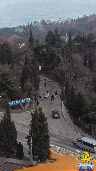 На ЮБК перекрыли дорогу из-за сбежавшей обезьяны (ФОТО, ВИДЕО) - «Симферополь»