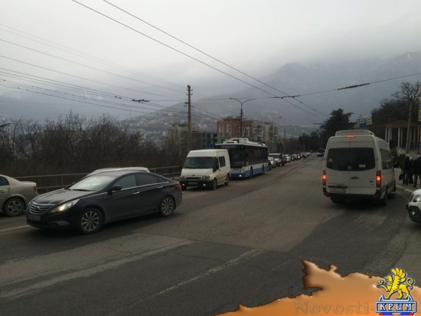 На ЮБК перекрыли дорогу из-за сбежавшей обезьяны (ФОТО, ВИДЕО) - «Симферополь»