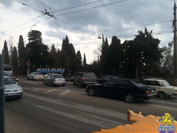 На ЮБК перекрыли дорогу из-за сбежавшей обезьяны (ФОТО, ВИДЕО) - «Симферополь»