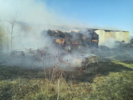 Сотрудники ГКУ РК «Пожарная охрана Республики Крым» предупреждают об опасности выжигания сухой травы, стерни и камыша - «МЧС»