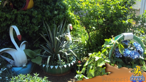 Отдых в Севастополе. Сдам две комнаты у моря Отдых в Крыму 2017 - жильё в Крыму без посредников - «Отдых в Севастополе»