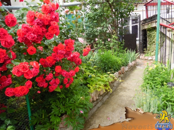 Отдых в Севастополе. Сдам две комнаты у моря Отдых в Крыму 2017 - жильё в Крыму без посредников - «Отдых в Севастополе»