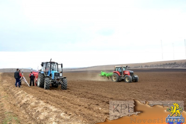 Инвестор приступил к реализации многомиллионного проекта по выращиванию винограда в Крыму (ФОТО) - «Экономика Крыма»