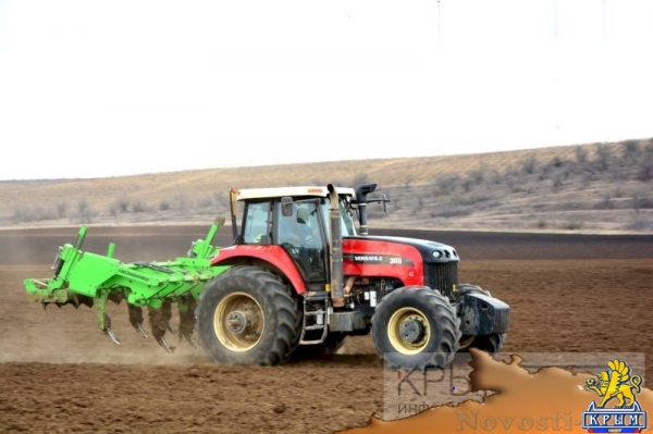 Инвестор приступил к реализации многомиллионного проекта по выращиванию винограда в Крыму (ФОТО) - «Экономика Крыма»