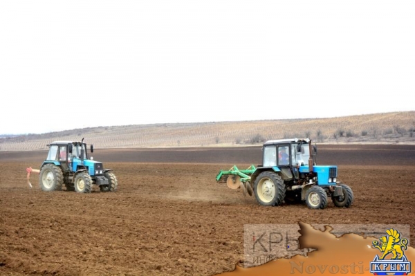 Инвестор приступил к реализации многомиллионного проекта по выращиванию винограда в Крыму (ФОТО) - «Экономика Крыма»