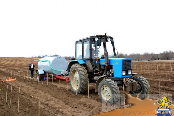 Инвестор приступил к реализации многомиллионного проекта по выращиванию винограда в Крыму (ФОТО) - «Экономика Крыма»