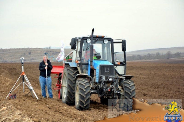 Инвестор приступил к реализации многомиллионного проекта по выращиванию винограда в Крыму (ФОТО) - «Экономика Крыма»