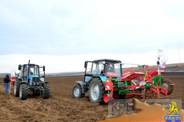 Инвестор приступил к реализации многомиллионного проекта по выращиванию винограда в Крыму (ФОТО) - «Экономика Крыма»