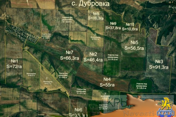 Инвестор приступил к реализации многомиллионного проекта по выращиванию винограда в Крыму (ФОТО) - «Экономика Крыма»