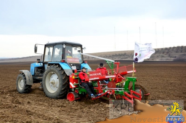 Инвестор приступил к реализации многомиллионного проекта по выращиванию винограда в Крыму (ФОТО) - «Экономика Крыма»