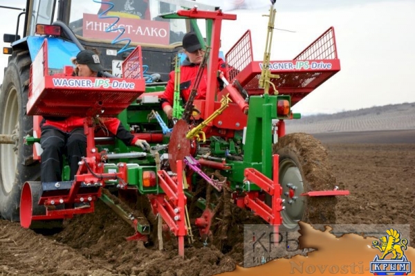 Инвестор приступил к реализации многомиллионного проекта по выращиванию винограда в Крыму (ФОТО) - «Экономика Крыма»