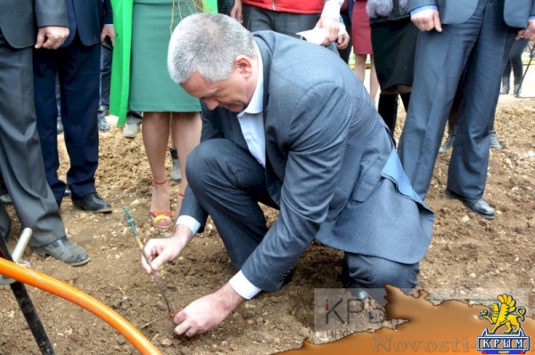 Инвестор приступил к реализации многомиллионного проекта по выращиванию винограда в Крыму (ФОТО) - «Экономика Крыма»