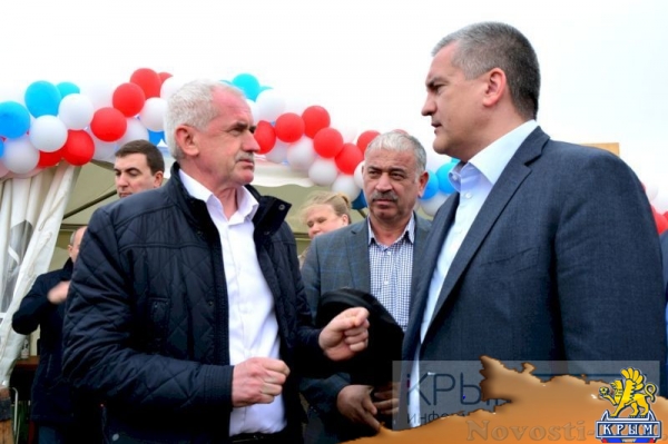 Инвестор приступил к реализации многомиллионного проекта по выращиванию винограда в Крыму (ФОТО) - «Экономика Крыма»