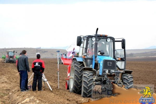 Инвестор приступил к реализации многомиллионного проекта по выращиванию винограда в Крыму (ФОТО) - «Экономика Крыма»
