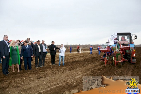 Инвестор приступил к реализации многомиллионного проекта по выращиванию винограда в Крыму (ФОТО) - «Экономика Крыма»