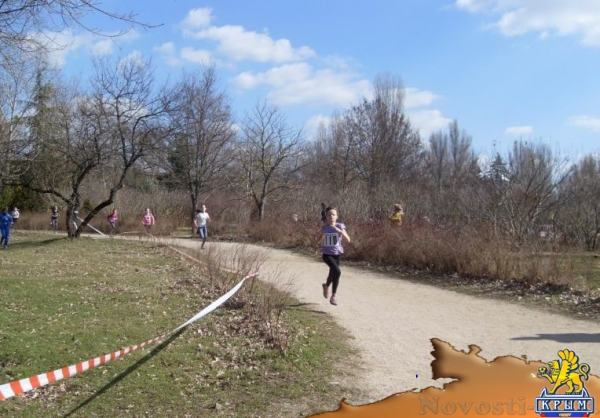 Призёры республиканских соревнований по легкоатлетическому кроссу определены в Симферополе (ФОТО) - «Спорт Крыма»