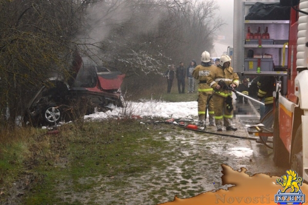 Под Севастополем врезался в дерево и загорелся автомобиль – погибли мужчина и женщина (ФОТО)  - «Происшествия»