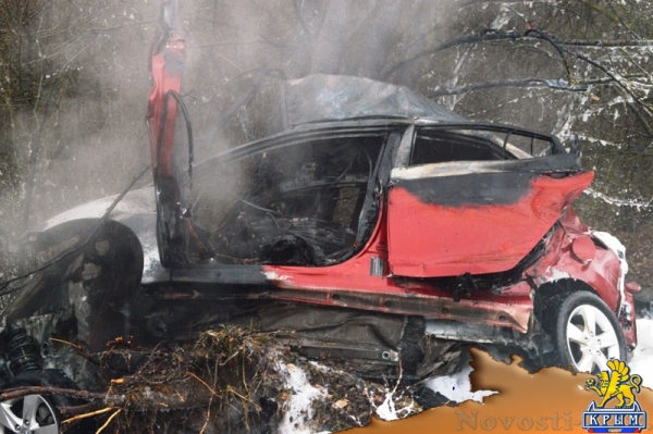 Под Севастополем врезался в дерево и загорелся автомобиль – погибли мужчина и женщина (ФОТО)  - «Происшествия»
