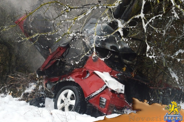 Под Севастополем врезался в дерево и загорелся автомобиль – погибли мужчина и женщина (ФОТО)  - «Происшествия»