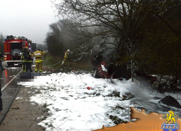 Под Севастополем врезался в дерево и загорелся автомобиль – погибли мужчина и женщина (ФОТО)  - «Происшествия»