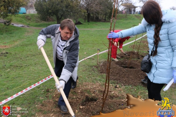 Под Симферополем высадили аллею из 300 деревьев (ФОТО) - «Симферополь»