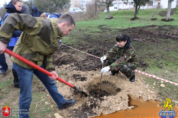Под Симферополем высадили аллею из 300 деревьев (ФОТО) - «Симферополь»
