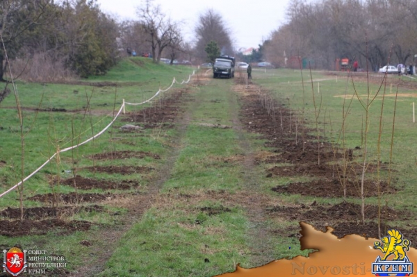Под Симферополем высадили аллею из 300 деревьев (ФОТО) - «Симферополь»