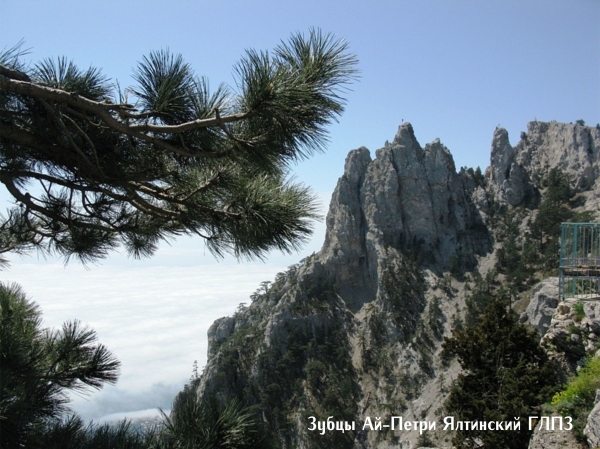 Специалисты Госкомрегистра внесли в реестр недвижимости сведения о 27 особо охраняемых природных территориях Крыма - «Госкомрегистр»