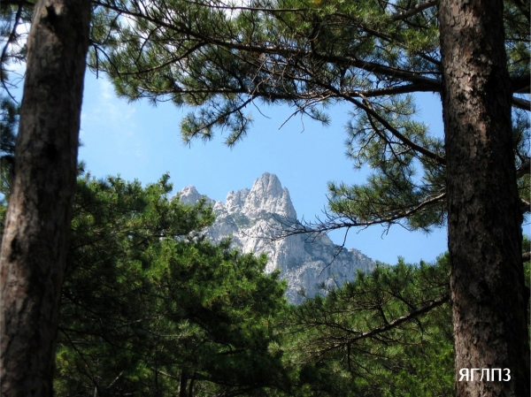 Специалисты Госкомрегистра внесли в реестр недвижимости сведения о 27 особо охраняемых природных территориях Крыма - «Госкомрегистр»