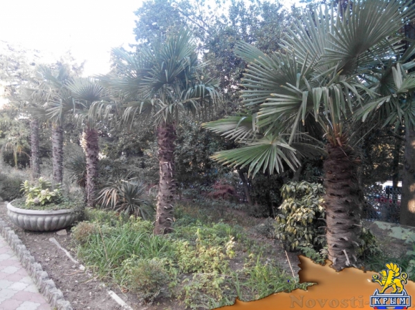 Отдых в Ялте. Однокомнатная квартира, центр Набережной Отдых в Крыму 2017 - жильё в Крыму без посредников - «Отдых в Ялте»