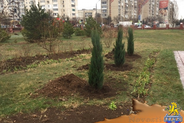 Весенняя акция по высадке зеленых насаждений прошла в Евпатории (ФОТО) - «Экономика Крыма»
