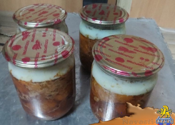 Россельхознадзор не пропустил в Крым груз с полутора тысячами украинских дождевых червей (ФОТО) - «Возвращение в Россию»