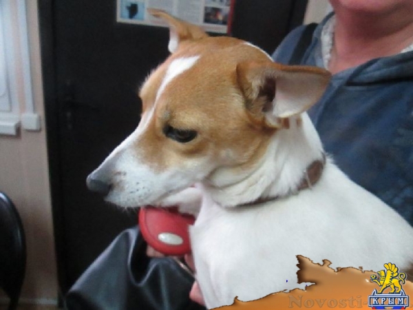 Россельхознадзор не пропустил в Крым груз с полутора тысячами украинских дождевых червей (ФОТО) - «Возвращение в Россию»