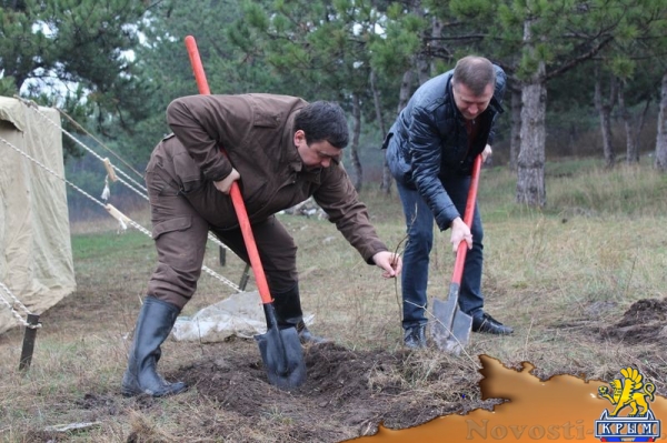 Участники субботника по озеленению и уборке высадили в ландшафтно-рекреационном парке «Битак» 600 деревьев (ФОТО) - «Возвращение в Россию»