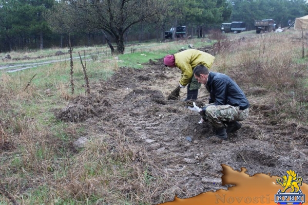 Участники субботника по озеленению и уборке высадили в ландшафтно-рекреационном парке «Битак» 600 деревьев (ФОТО) - «Возвращение в Россию»